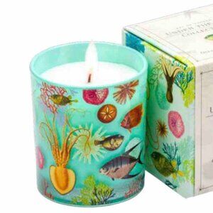 Art of Nature. Under the Sea Collection. Ocean Scented Candle. Soy & Coco Wax